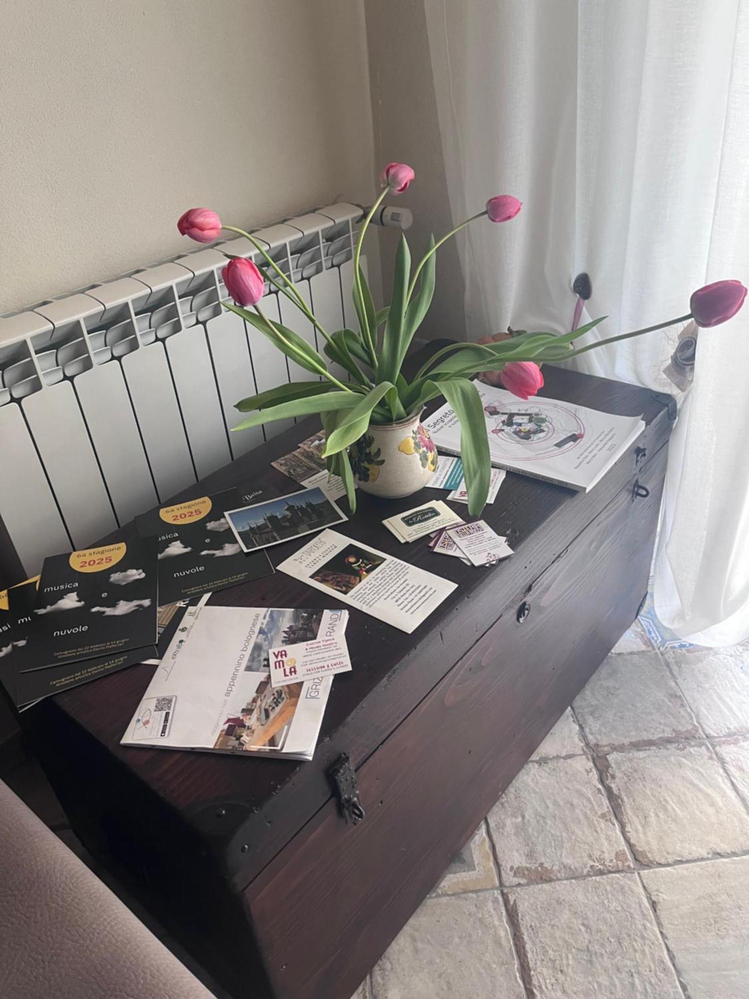 B&B Camelia Camugnano Екстер'єр фото