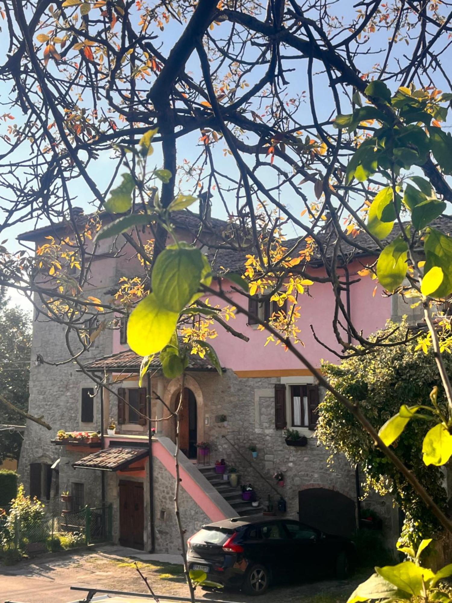 B&B Camelia Camugnano Екстер'єр фото